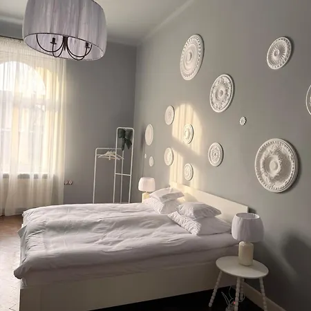 Apartment Two Paws *