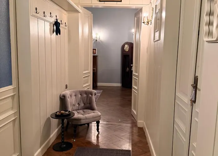 Two Paws * 크라쿠프